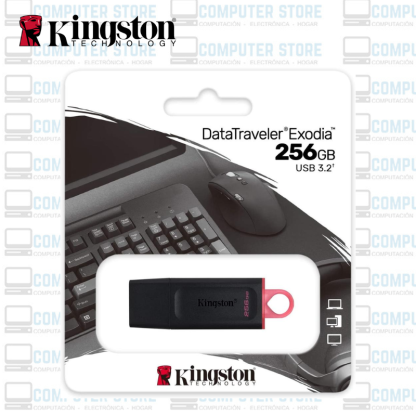 Kingston DataTraveler Exodia 256 GB